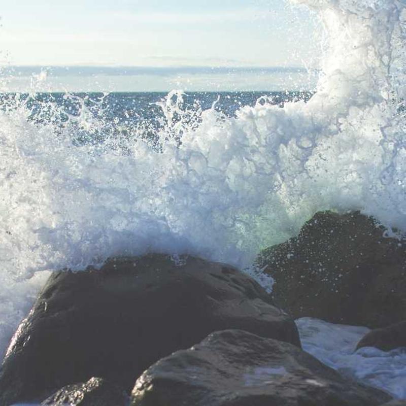 智能技术应用：展示AI算法和机器学习模型可视化